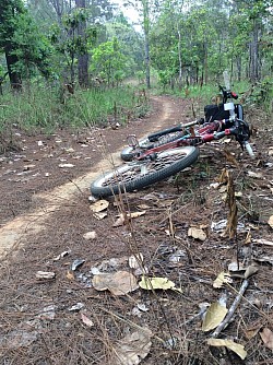 Let a guide take you on singletrack exploration