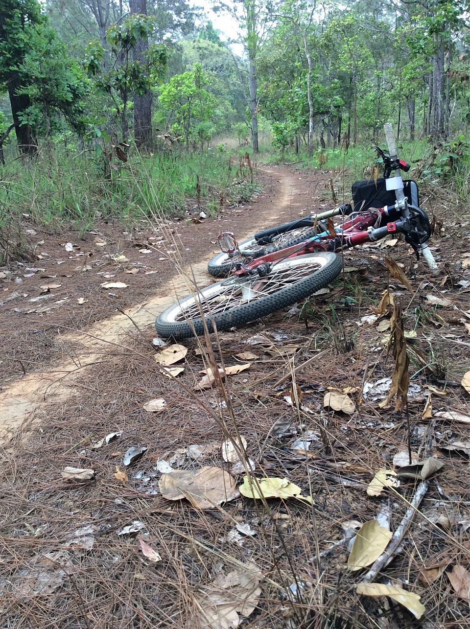 mtb cambodia