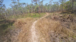 Natural trails