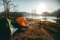 forest mtb cambodia