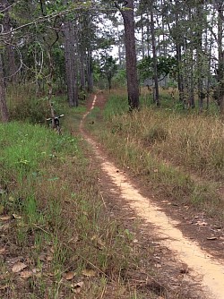 SINGLETRACK